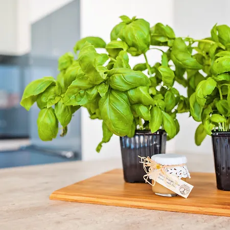 Homely Place Blisko Starego Rynku - Parking * Poznaň