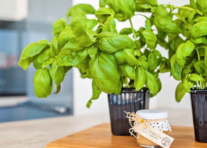 Apartamenty Homely Place Blisko Starego Rynku - Parking * Познань